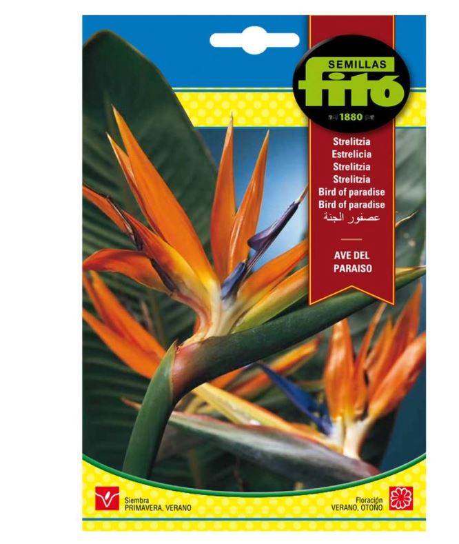 Bird of Paradise Flower Seed