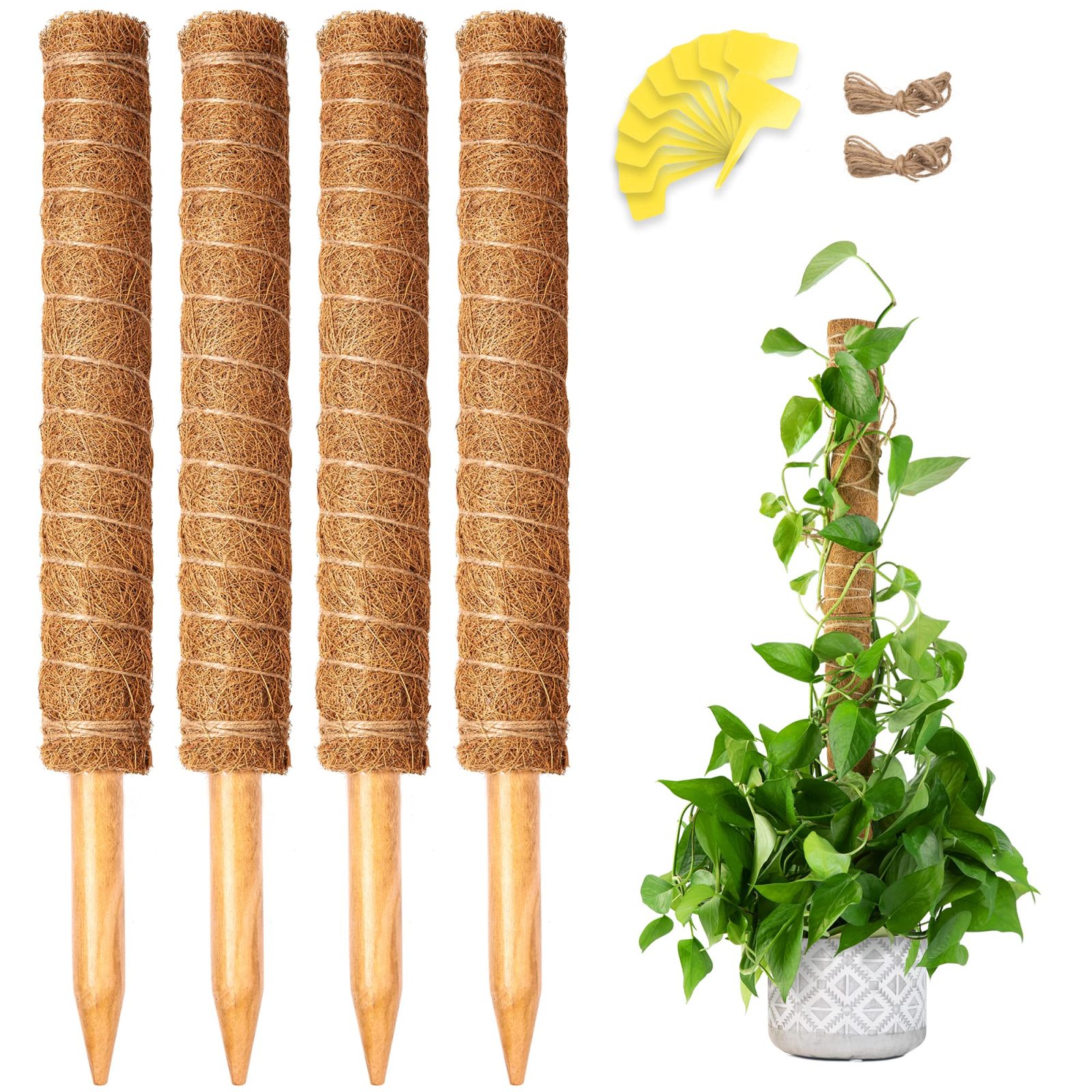 Moss Plant Support Stick 120 Cm