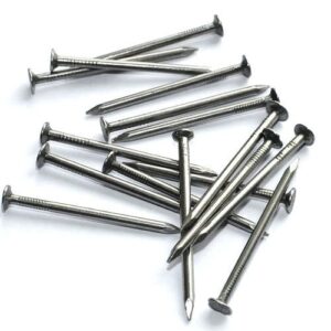 Wire Nails 1″ Per Pkt