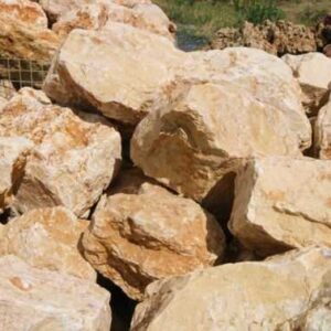 Saturn Big Yellow Rock  70-80 Cm