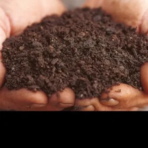 Farmers Potting Mix (50 LTR)